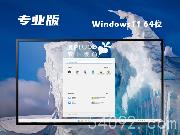 ghost Win11רҵ64λ | Win11  רҵϵͳ v2024.11