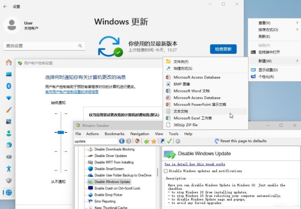 Windows 11 (中国定制版)