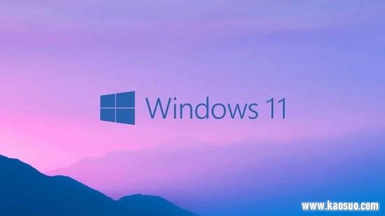 win11ʽwsaϸ