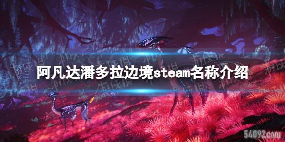 ˶߾steamʲô-˶߾steamƽ