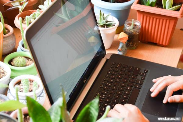 淘宝入驻店铺手机号怎么修改?淘宝入驻一定要手机号吗?