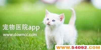 ҽԺappĸ?ҽԺapp-ҽԺֻ