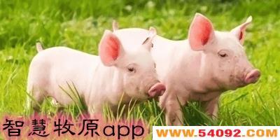 �ǻ���ԭapp��ȫ-2023�°��ǻ���ԭapp-�ǻ���ԭapp���ذ�װ