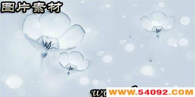 ͼƬ�ز�app�ĸ���?���ʦͼƬ�ز�app-ͼƬ�ز�����