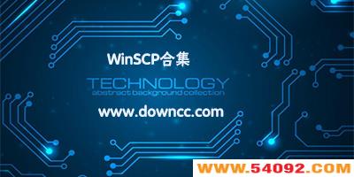 winscp����-winscp��ɫ���İ�-winscp�޸İ�