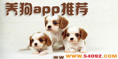 appĸãڹappƼ-ѵapp