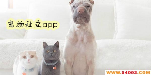 罻app-罻ƽ̨Щ-罻Ƽ