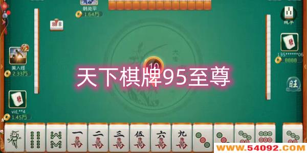 95پW-95d-95[
