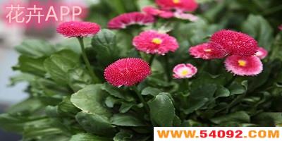 appЩ?app-app