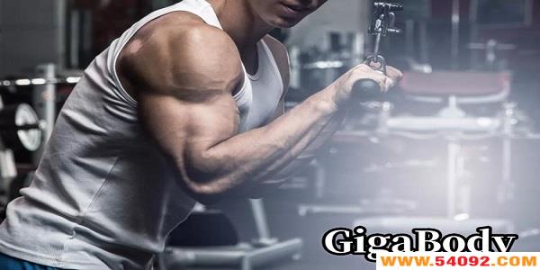 GigaBody-GigaBody汾ȫ