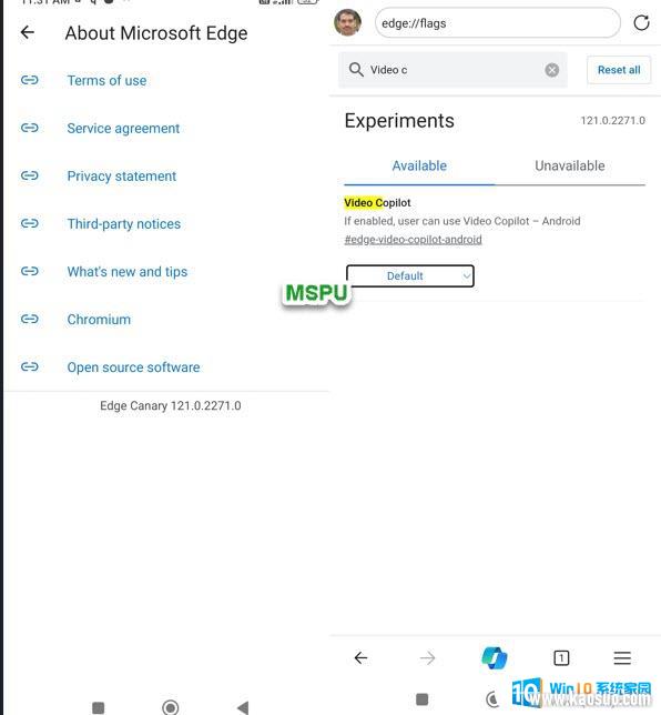 ׿Canary΢Edge CopilotƵժҪ