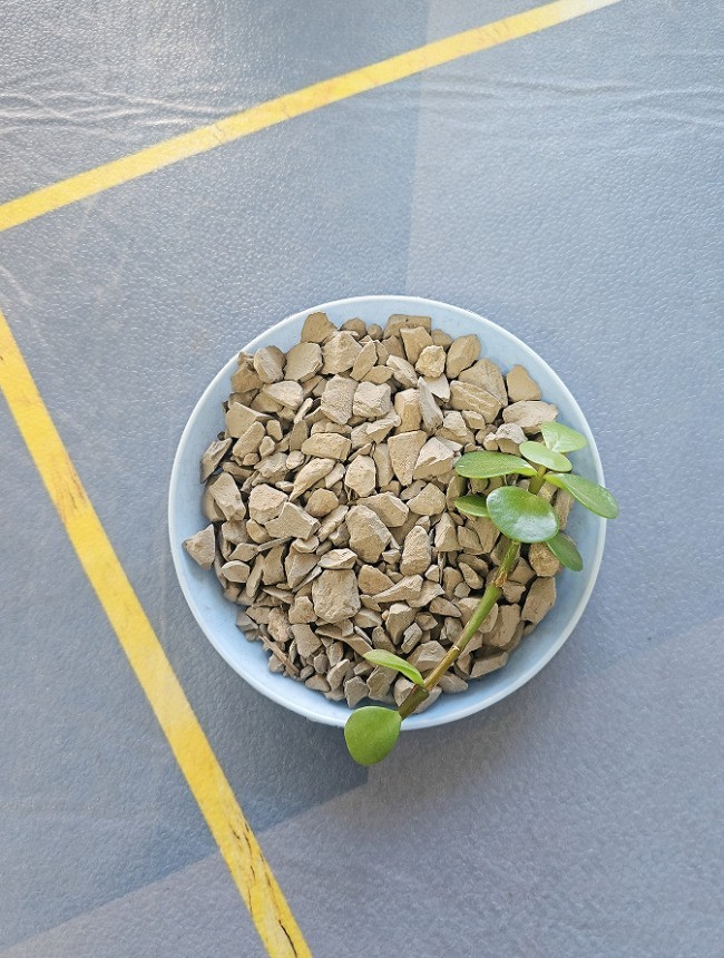 新房通风仍有异味怎么办，2026第三方实测，拆解除醛营销宣传噱头