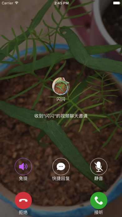 闪爱安卓版app下载(暂未上线)_闪爱下载v1.1.0