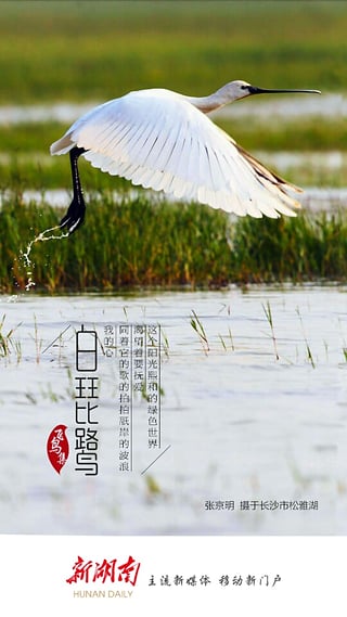 新湖南iOS版app下载_新湖南苹果版下载v7.3