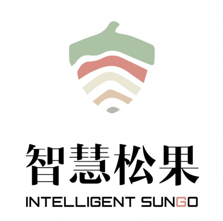 智慧松果品类冠军战略咨询怎么样｜6大品牌战略咨询机构横评（2026最新版）
