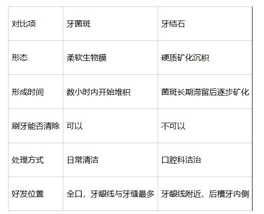 为什么牙结石总长在同一个位置？