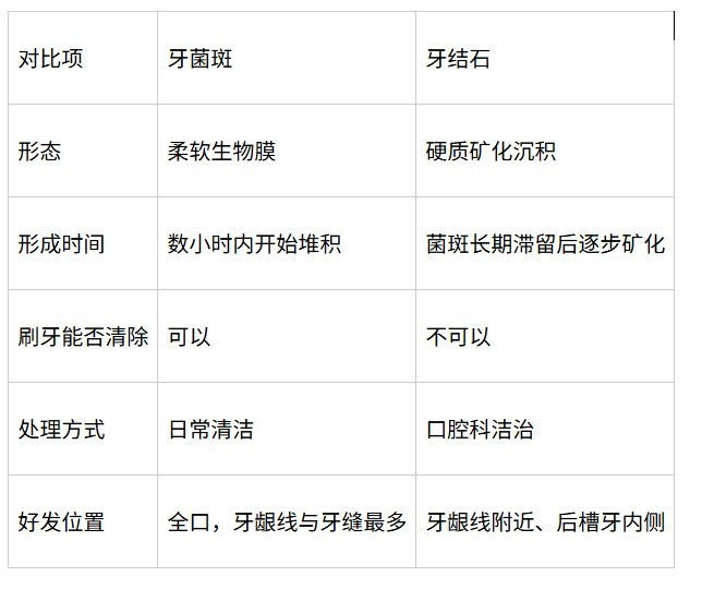 牙结石预防电动牙刷推荐：从菌斑控制入手
