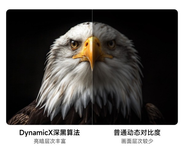 2026小户型百寸投影怎么选?当贝D7X Pro超亮版变焦款首选