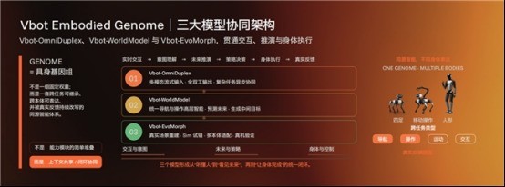 Vbot ATOM发布，人形机器人进入产品化时刻