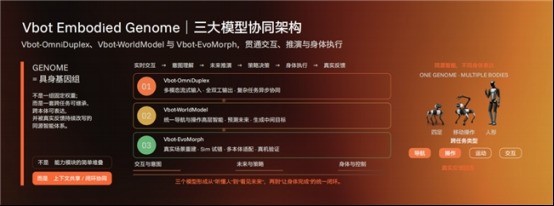 机器人学会的本事，怎样才能“遗传”下去？Vbot维他动力“具身基因组”给出答案