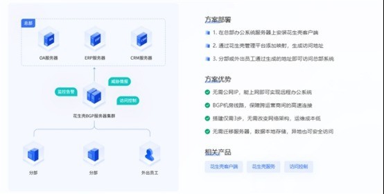 告别公网IP焦虑，花生壳内网穿透如何让企业远程办公安全无忧