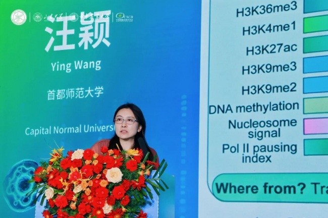 2026 植物干细胞与再生国际大会盛大开幕，科缔联助力植物细胞技术全球转化