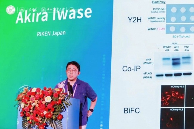 2026 植物干细胞与再生国际大会盛大开幕，科缔联助力植物细胞技术全球转化