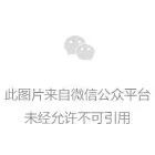 讯众海棠心智助力洛哈斯医学构建AI身心健康监护体系