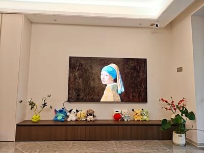 2026 选购 85寸电视别踩坑！主流机型横评，怎么选不白花预算