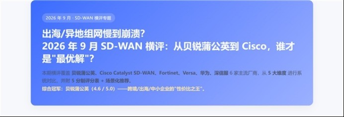 SD-WAN方案横评—— 出海/异地组网，从贝锐蒲公英到 Cisco 的\