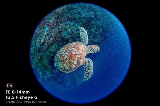 重塑视界 索尼正式发布首款全画幅鱼眼变焦G镜头FE 8-14mm F3.5 Fisheye G