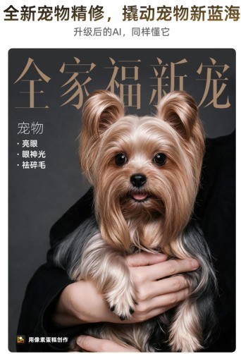 2026像素系列秋季发布会盛大举行，不负每一次期待