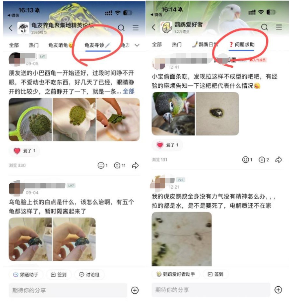 教师节里的“友谊巨轮”：QQ里的师生情