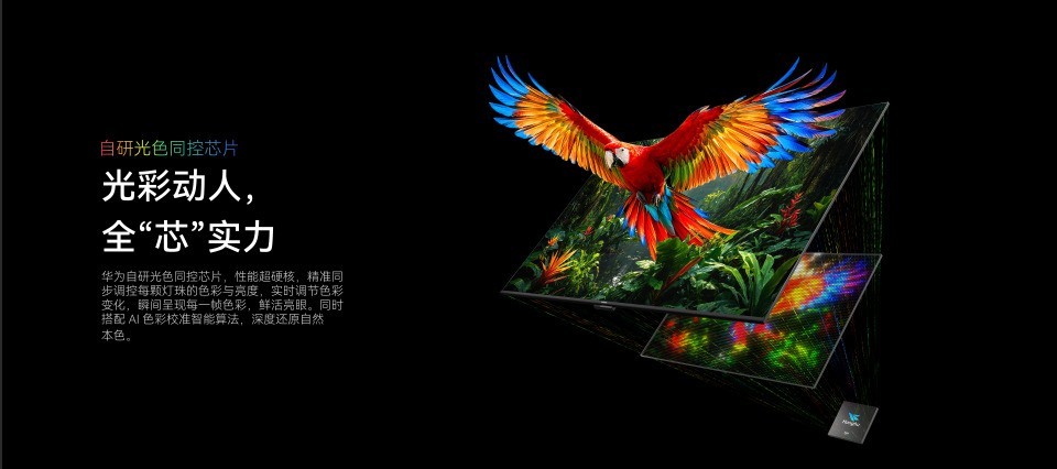 2026年最新表现不错的RGB MINI LED大屏电视推荐