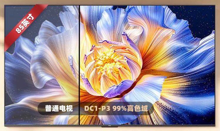 2026年SQDminiled电视推荐，先从那层滤光片说起