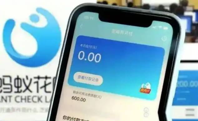平台月付退出支付首页,信贷与基础支付将分区展示