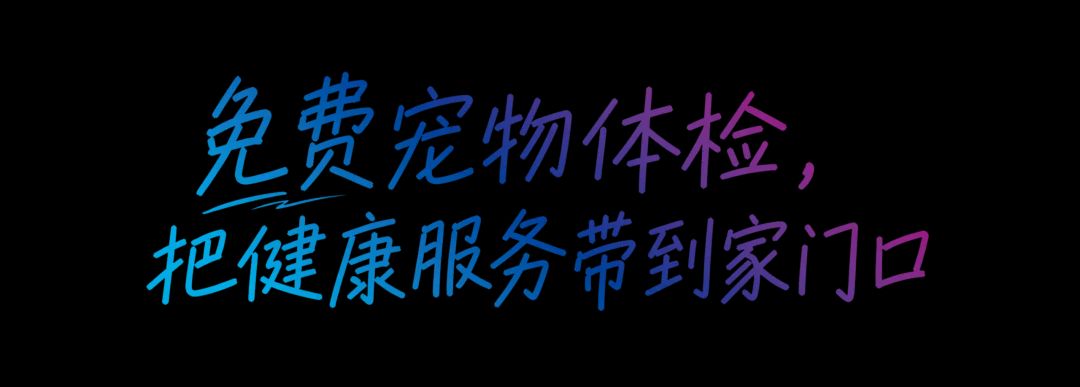 科技有温度,宠拍档公益进社区