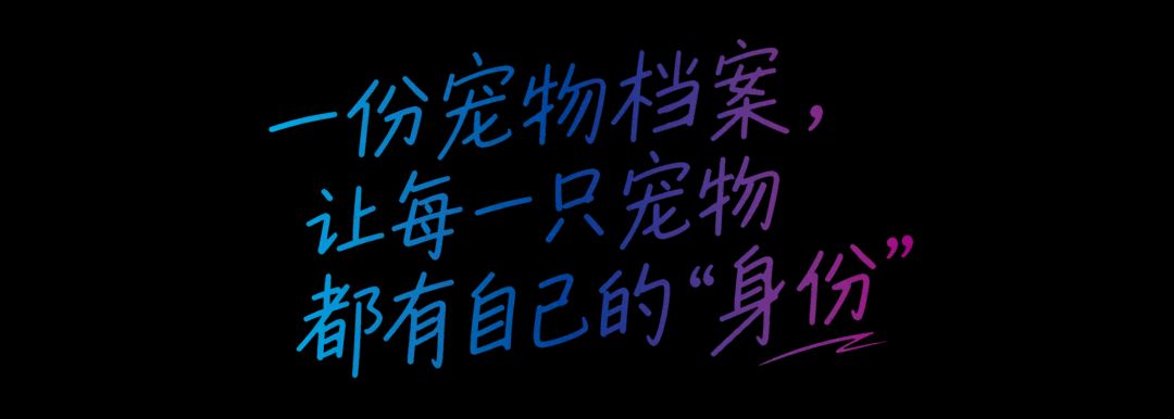 科技有温度,宠拍档公益进社区