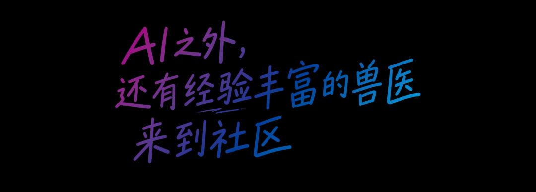科技有温度,宠拍档公益进社区