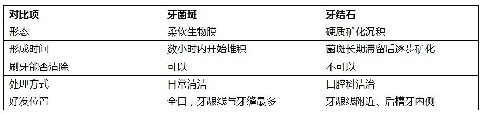 电动牙刷和洗牙是什么关系?两件事不能互相替代