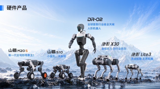 IDC《全球四足机器人市场份额》出炉,隐形冠军浮出水面