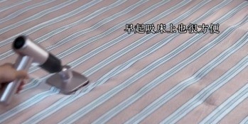 床上猫毛怎么清？五款清猫毛神器大测评！