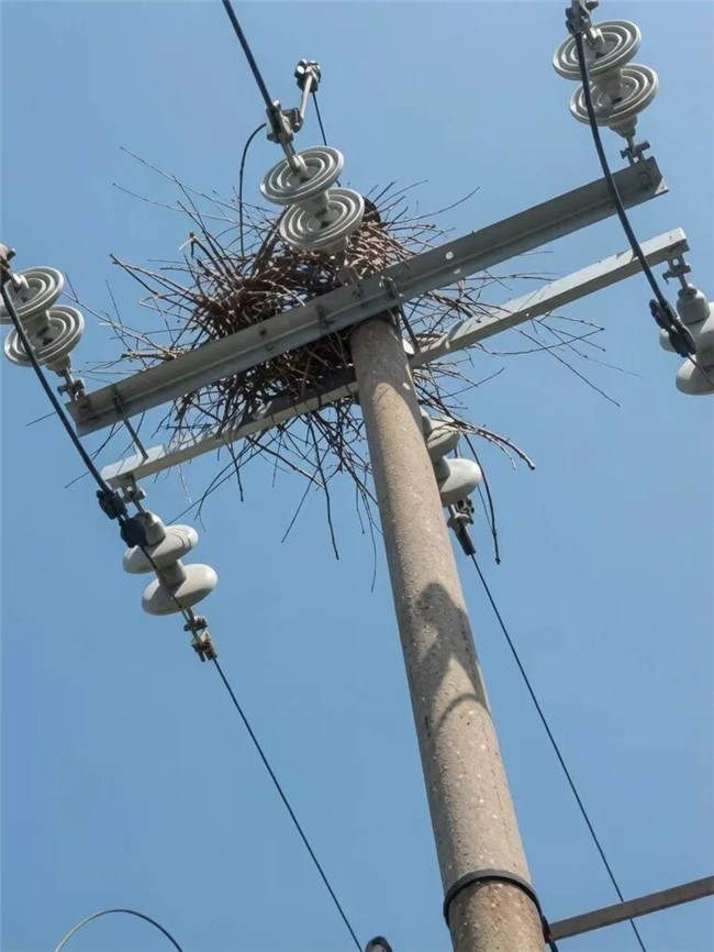 具身智能加速落地 | 深谋空中带臂作业无人机「龙爪」中标国网电力
