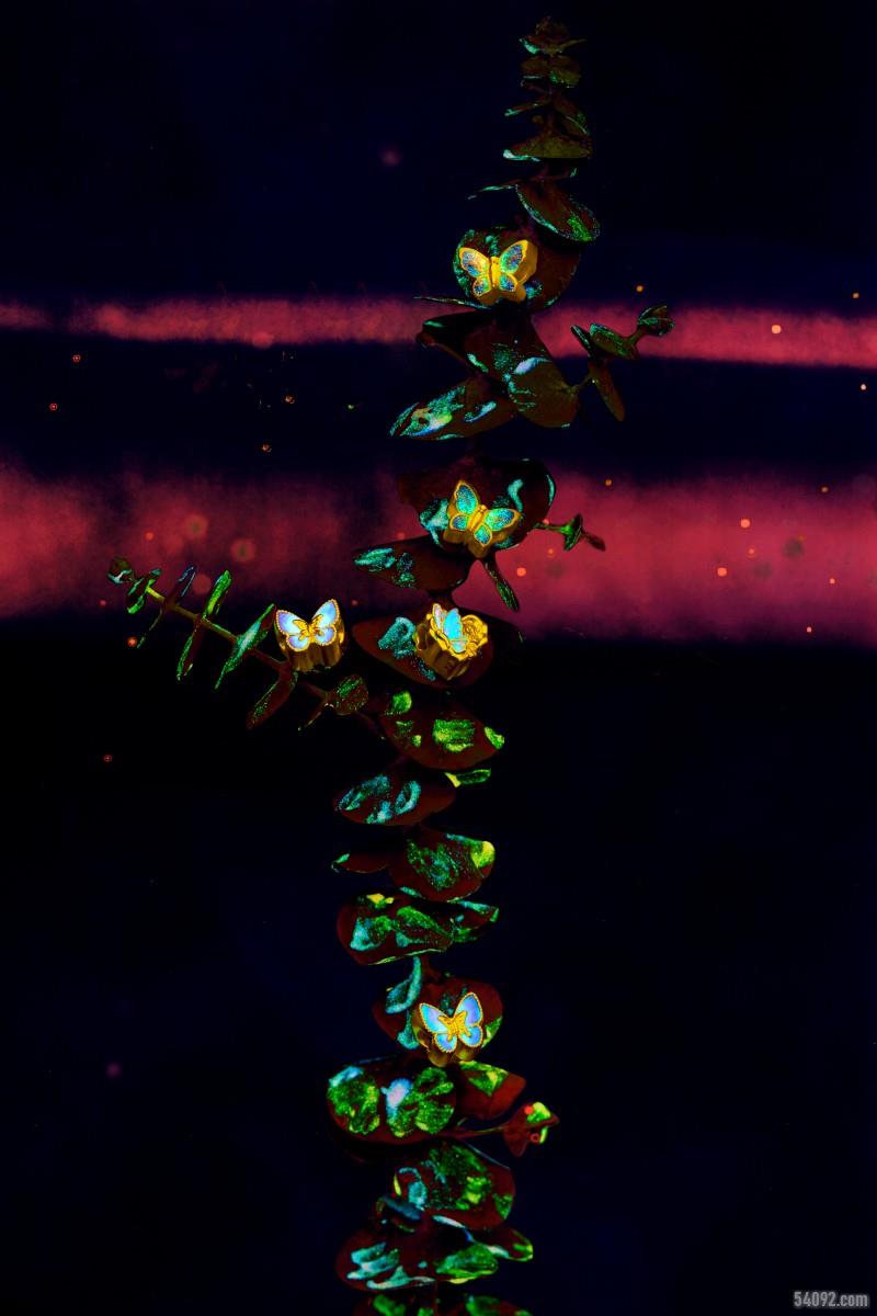 ܴ״ӫⷩŹգÿƤҺڣTAУ