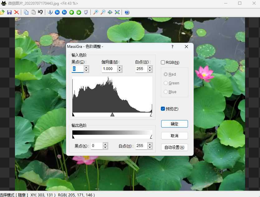 MassiGra64λ0.4.1.01