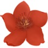 小红花直播音效助手官方版