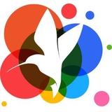 小鸟壁纸64位3.1123.2125.906