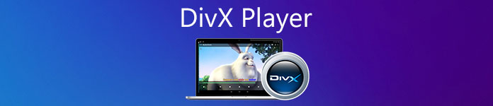 DivX Player10.10.1.0x32λ