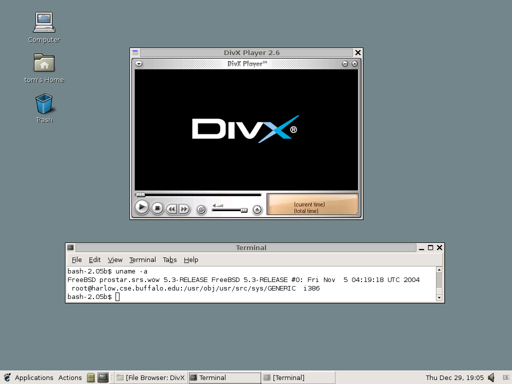 DivX Player10.10.1.0x32λ1