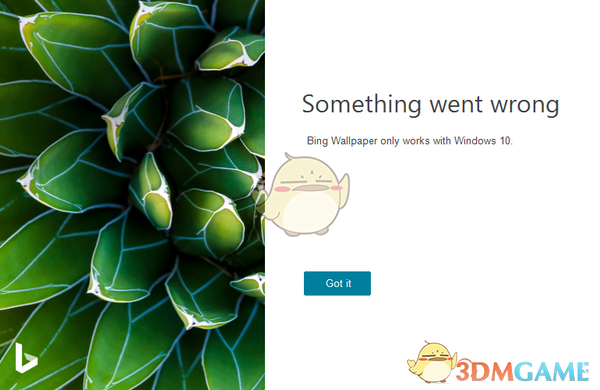 bing wallpaperӦֽv1.0.9.6 
